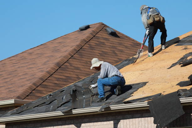 Best Roof Leak Repair  in Crewe, VA